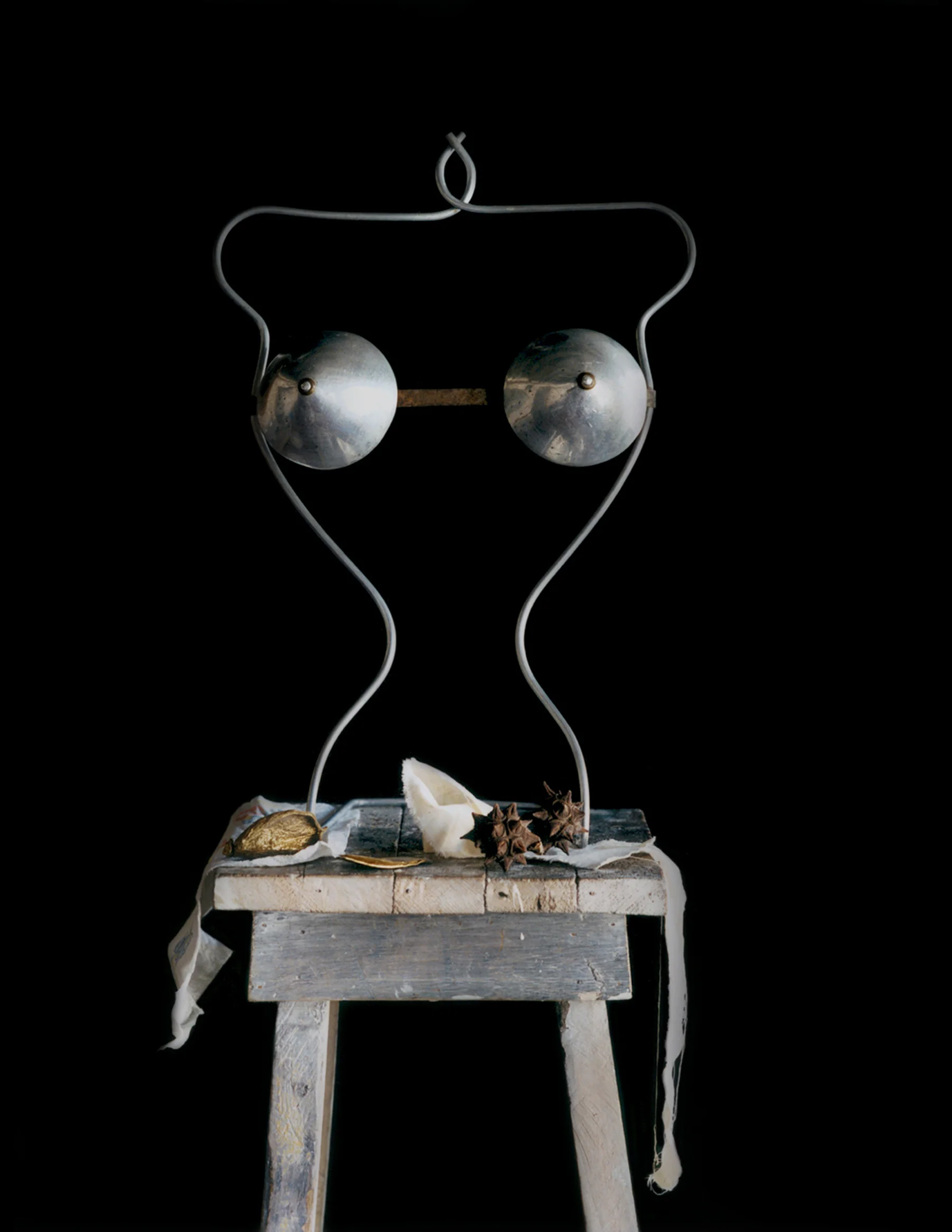 Still Life — Michael James O'Brien